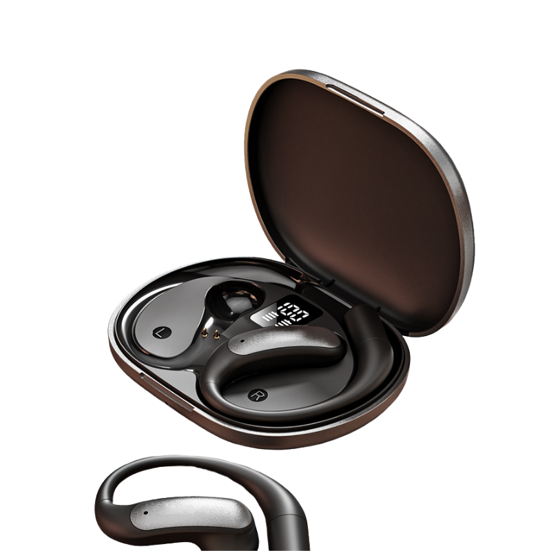 LinguaLink - AI Translation Earbuds with Noise Cancellation