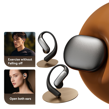 LinguaLink - AI Translation Earbuds with Noise Cancellation