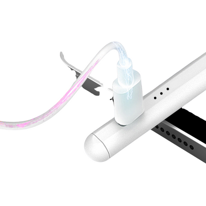 iPad Stylus - Palm Rejection & Magnetic Fast Charging