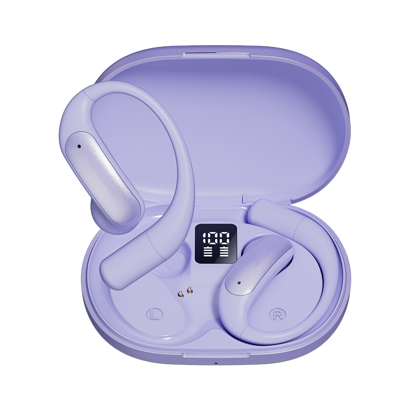 LinguaLink - AI Translation Earbuds with Noise Cancellation