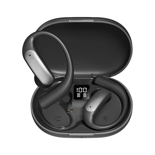 LinguaLink - AI Translation Earbuds with Noise Cancellation